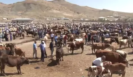 Hayvan Pazarında Kurban Bayramı Yoğunluğu