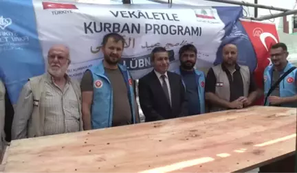 Tdv, Lübnan'da Kurban Kesti