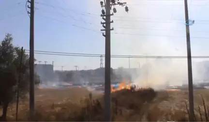 Anız Yangını Büyümeden Söndürüldü