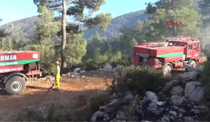 Bodrum'da 1 Hektarlık Ormanlık Alanı Küle Çevirdi