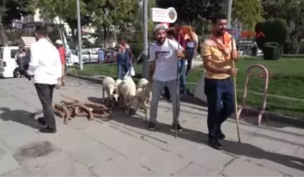 Afyonkarahisar Fuar Öncesi Çoban Ateşi