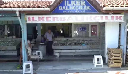 Balıkçılar Palamutta Umduğunu Bulamadı