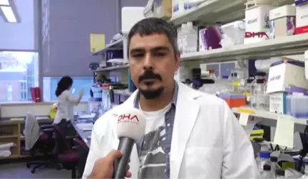 Türk Doktor Beyin Yaşlanmasının Durdurulması Konusunda Umut Işığı Oldu