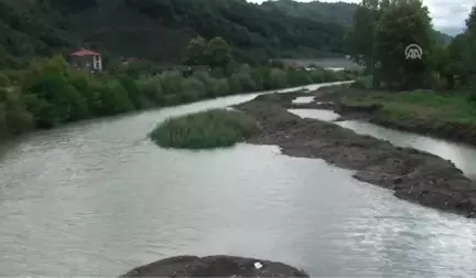 Zonguldak'ta Balık Ölümleri