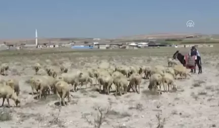 Konya'da Yeni Obruk Oluştu