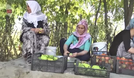 Muşlu Kadınların Kış Hazırlığı