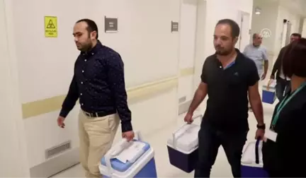 Organları 5 Hastaya Umut Olacak
