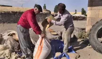 Buğday ve Arpalar Kuyularda Muhafaza Ediliyor