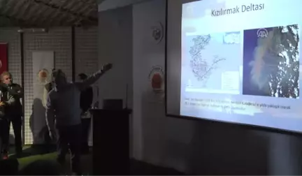 Kızılırmak Deltası Kuş Cenneti'nde Fotosafari