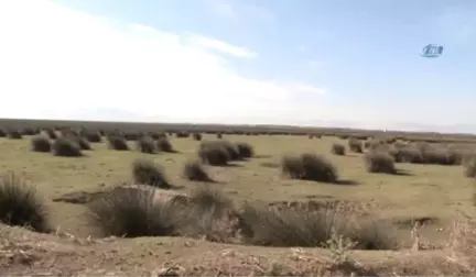 Samsun Cumhuriyet Başsavcı Vekilinin de Katıldığı Fotoğraf Yarışması Başladı