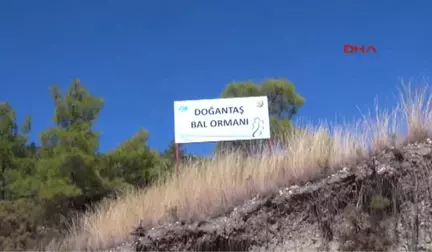 Antalya Bir Kilo Balı Üç Dakikada Yedi