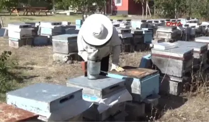 Yozgat Ev Hanımı Sorgunlu Hanımağa, Yılda 1,5 Ton Organik Bal Üretiyor