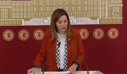 MHP İstanbul Milletvekili Arzu Erdem: 