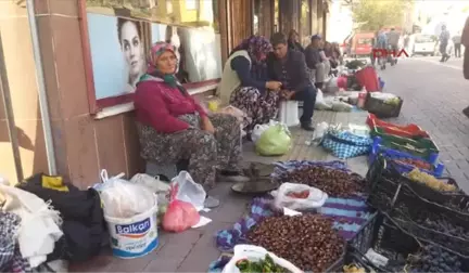 Çanakkale Kazdağı Kestanesi 3 Liraya Düştü