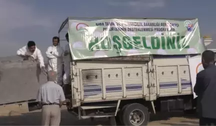 Genç Çiftçi Projesi'nde Hibeler Devam Ediyor