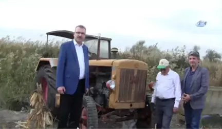 67 Yıllık Antika Traktörle Tarlasını Sürüyor