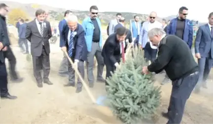 Denetimli Serbestlik Yükümlüleri 260 Fidan Dikti