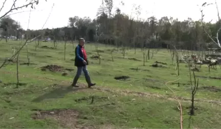 Kentin Gürültüsünden Uzaklaşıp Koyun Yetiştiricisi Oldu