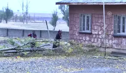 Ağacın Altında Kalarak Ölen Eren'in Sınıfında Yas Var