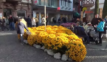 Türkiye'de Çalışan Turizmci Almanya'da Kraliçe Seçildi