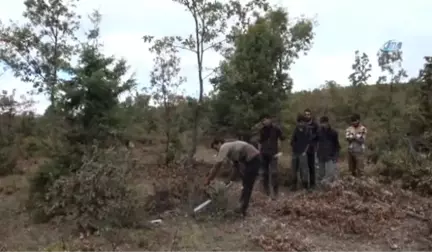 Ekmeklerini Mangal Kömürü Yaparak Kazanıyorlar