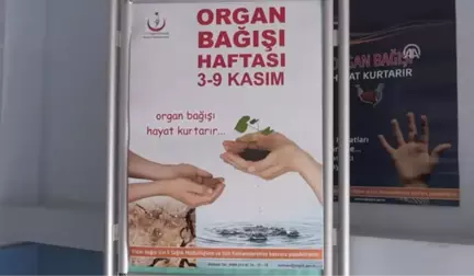 Böbrek Nakliyle Hayata Tutundu Organ Bağışı Gönüllüsü Oldu - Batman