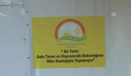 Hayalindeki İşe 