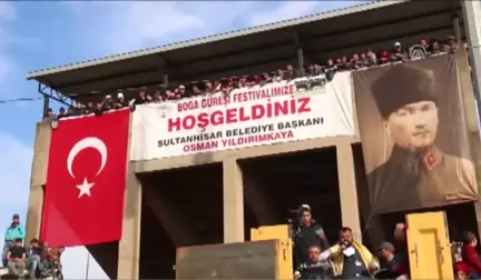 Türkiye Boğa Güreşi Şampiyonası