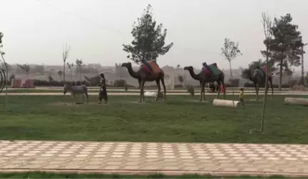 Küçük Şehidin Adı Oynadığı Parklarda Yaşatılıyor