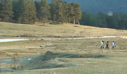 Ayakta Durması Şaşırtıcıydı, Şimdi Yakalanamıyor - Bolu