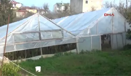 Giresun'da Kadın Çiftçiler Üretiyor