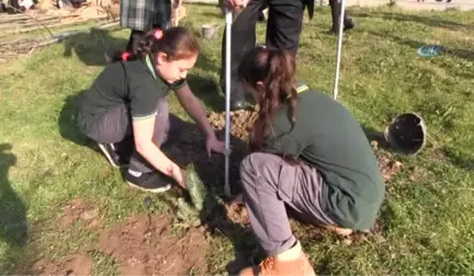 Öğretmenler Günü'nde Okulu Ağaçlandırdı