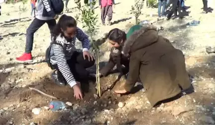 Hatay'da Öğrenciler Narenciye Bahçesi Kurdu