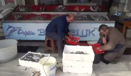 Olumsuz Hava Şartları Balık Tezgahlarını Boş Bıraktı