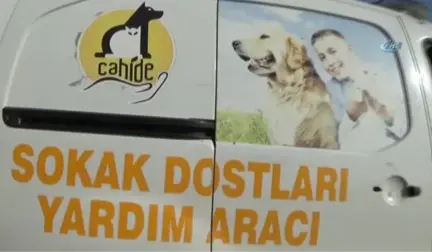 Domdom Kurşunu ile Vurulmuş Sokak Köpeğine Vatandaşlar Sahip Çıktı