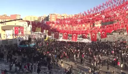 Mardin'de Hamsi Festivali Düzenlendi