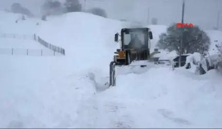 Ardahan Doğu'da Buz Tuttu