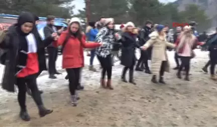 Bolu Abant'ta Hamsi Festivali