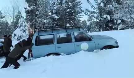 Göçmen Bozayılar Kış Uykusuna Yattı