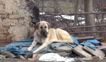 Kayıp Aile İlgili Sır Çözüldü