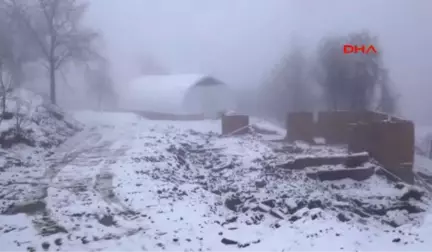 Kastamonu Yangın Sonrası 5 Kişilik Kayıp Ailenin Köylüleri Tedirgin