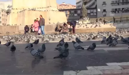 Ankaralılar, Aa'nın Foto Muhabirlerinin Çektiği Fotoğraflar İçin Oy Kullandı