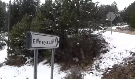 Evleri Yanan Aileye 28 Gündür Ulaşılamaması - Arama Kurtarma Çalışmaları