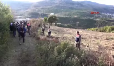 Bartın Amasra'da Termik Santral İçin Zeytin Ağaçlarının Sökülmesine Tepki