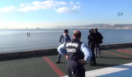 Kıyıda Ekipler, Denizde Kaçak Midye Avcıları... Polis ve Zabıta Ekiplerini Gören Avcılar Denize...