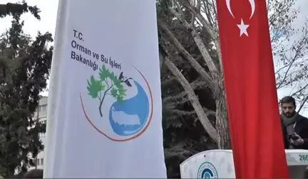 Eskişehir'de Yılbaşına Özel Ağaç Dağıtımı