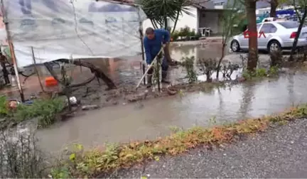 Muğla Ortaca'da Narenciye Bahçeleri ve Seralar Suyla Doldu