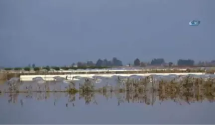 Sulara Gömülen Sera Altındaki Ürünlerine Tekne ile Ulaşabildiler