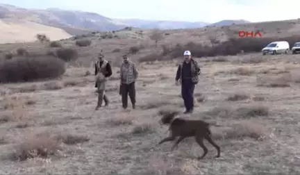 Yozgat'ta Avcılar Umduğunu Bulamadı