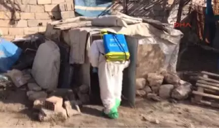 Mardin-Kızıltepe'de Kuş Gribi Görüldü, Kanatlılar İtlaf Edildi